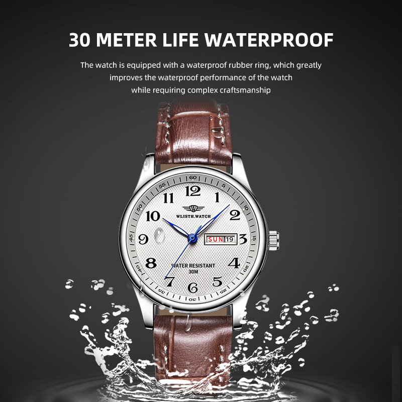 WLISTH Luxury Brand Men's Watc - Luxury Watch Investment review and price